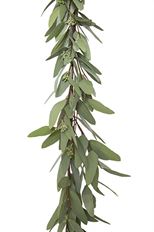 LONG LEAF EUC GARLAND 60" SAGE