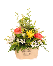 ARR2 BLOOMING GARDEN