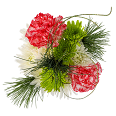 JINGLE ALL THE WAY BQT.