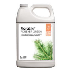 FLORALIFE EVERGREENS SPRAY GALLON