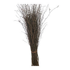 BIRCH BRANCHES 3-4' NATURAL 25/PK