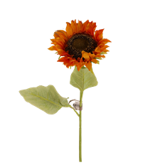 SUNFFLOWER 30" GOLD