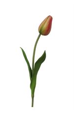 TULIP POINTED 15.5" ORANGE