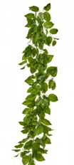GARLAND SALAL LEAF UV 60"