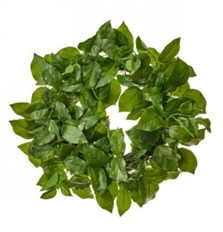 SALAL WREATH UV 24" GREEN
