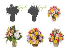 ARR - EVERYDAY CASE PACK